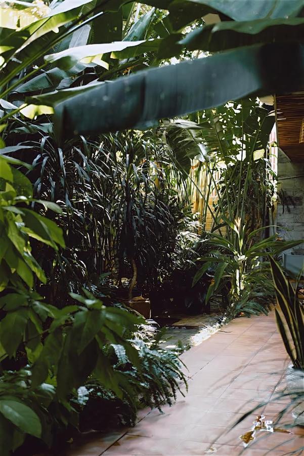 Tropical Home Villa 호이안 외부 사진